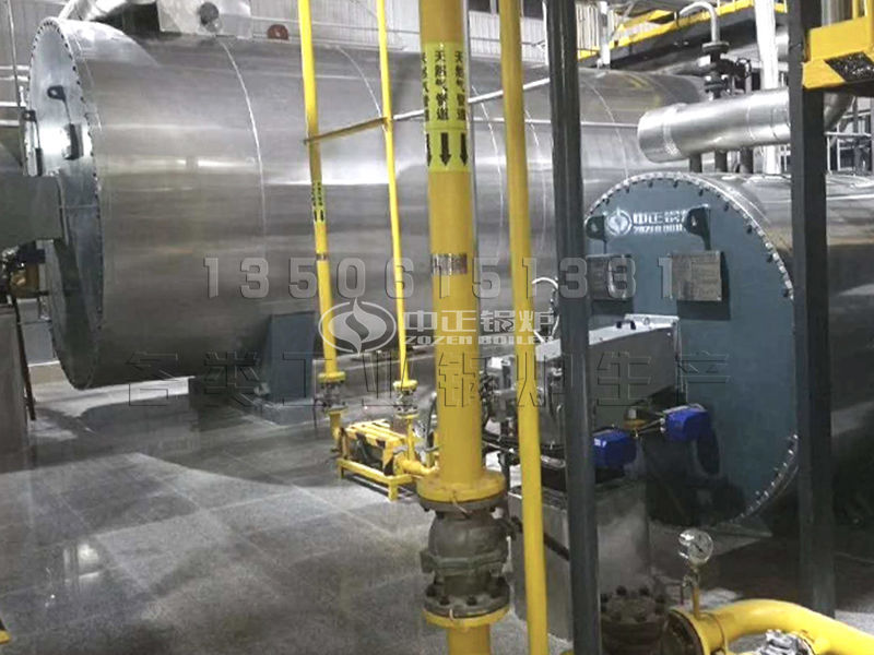 可燃生物質鍋爐 價格