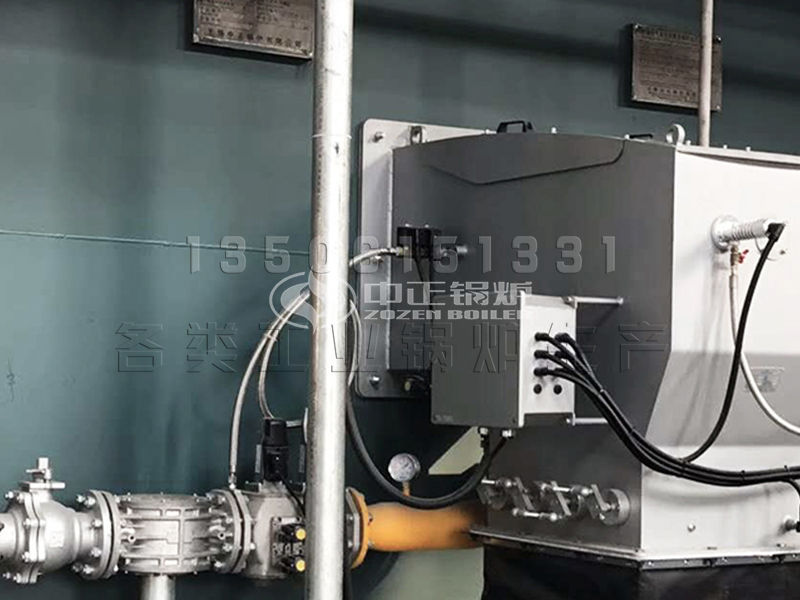 山東生物質(zhì)顆粒鍋爐生產(chǎn)廠家