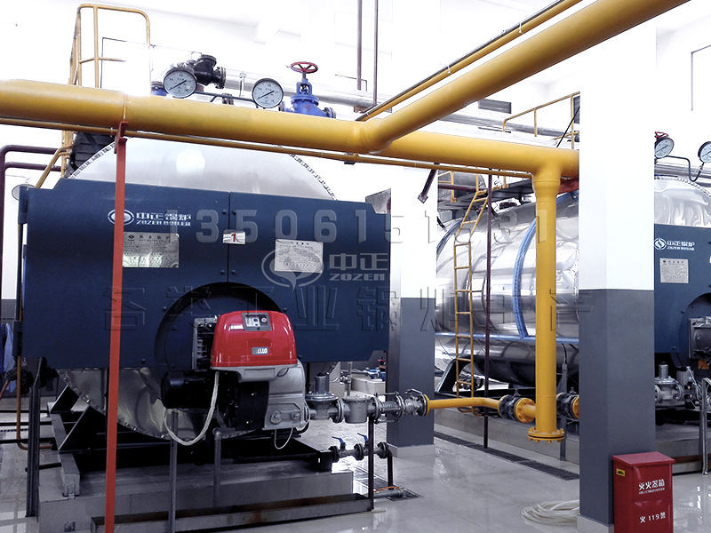 生物質(zhì)熱水鍋爐